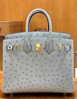 에르메스 버킨25 오스트리치