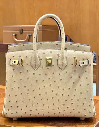 에르메스 버킨25 오스트리치