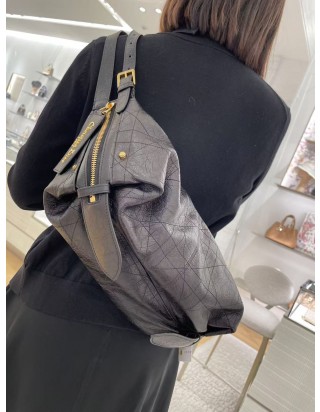 디올 디저니 백