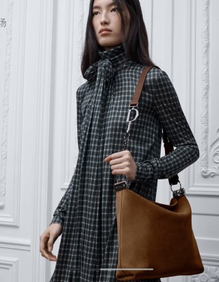 디올 디올리 백 비디움