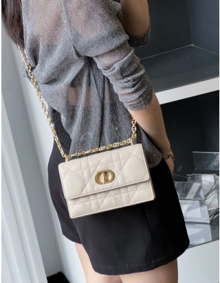 디올 미스 카로 스몰백