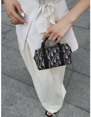 디올 16 글로브 나노 백