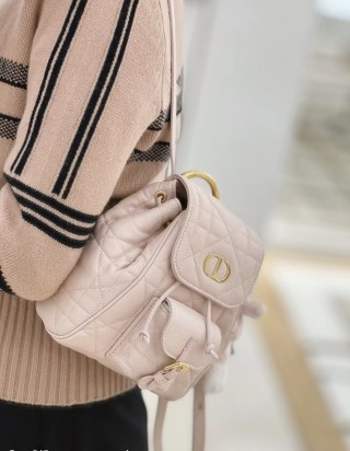 디올 카로 스몰 백팩