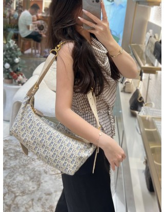 디올 디저니 미디움 백