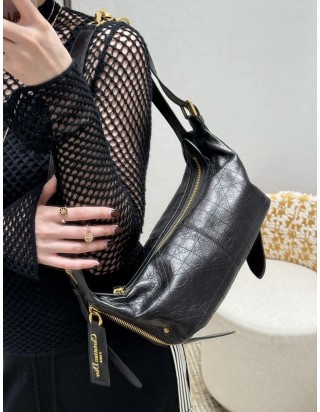 디올 디저니 스몰 백