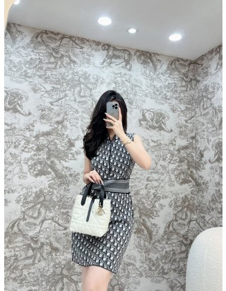 디올 뚜주흐 스몰 버티컬 토트 백