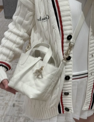 디올 뚜주흐 미니 버티컬 토트 백