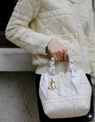 디올 뚜주흐 스몰 버티컬 토트 백