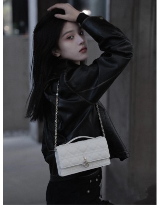 마이 디올 미니백